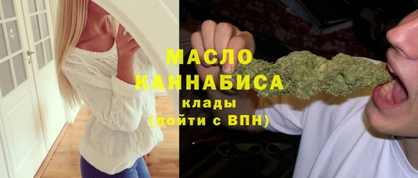 тгк Ельня