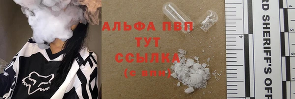 тгк Ельня