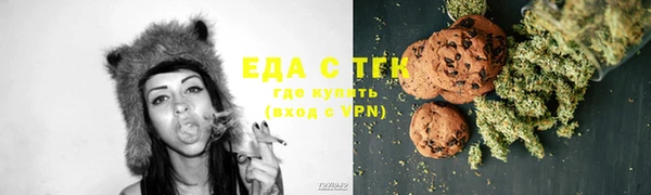 тгк Ельня