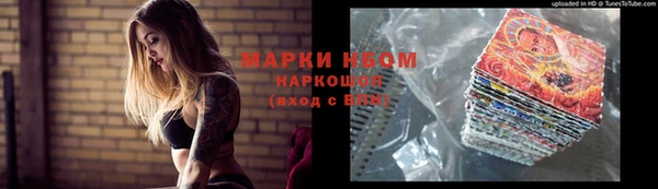 тгк Ельня