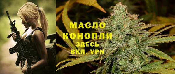 тгк Ельня
