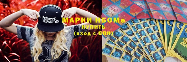 тгк Ельня
