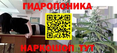 ешки Дубна