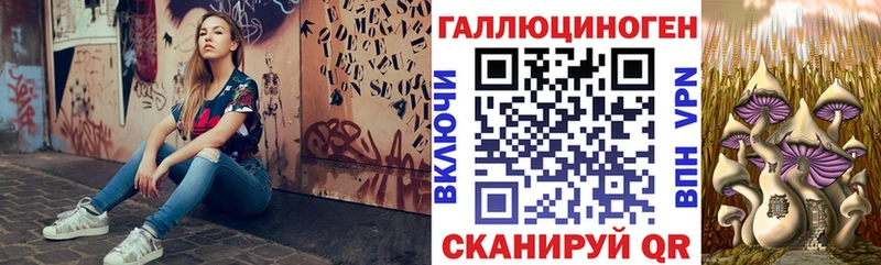 гидра как войти  Рузаевка  Псилоцибиновые грибы Cubensis  купить  