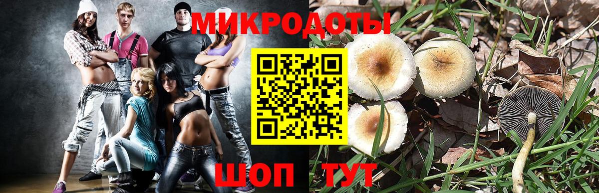 Галлюциногенные грибы Psilocybe Рузаевка