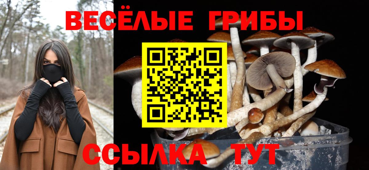 Рузаевка  Галлюциногенные грибы ЛСД  Псилоцибиновые грибы Psilocybine cubensis  Вход с VPN 