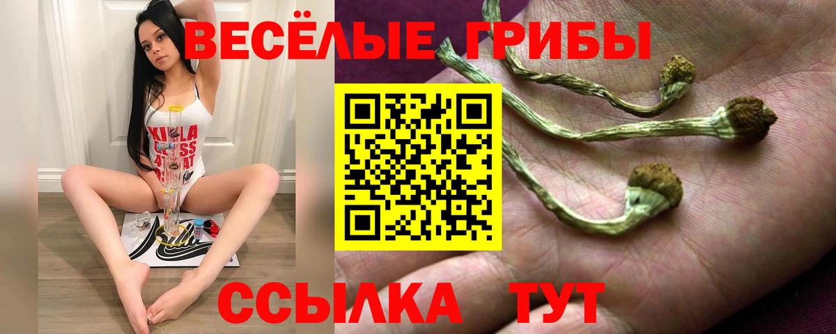 Псилоцибиновые грибы мухоморы Рузаевка